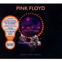 Pink Floyd - Delicate Sound Of Thunder (2 CD)
