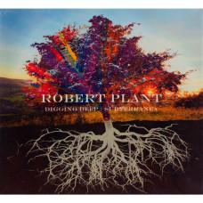 Robert Plant, Digging Deep : Subterranea (2 CD)