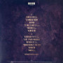 Enigma - The Fall Of A Rebel Angel (LP)