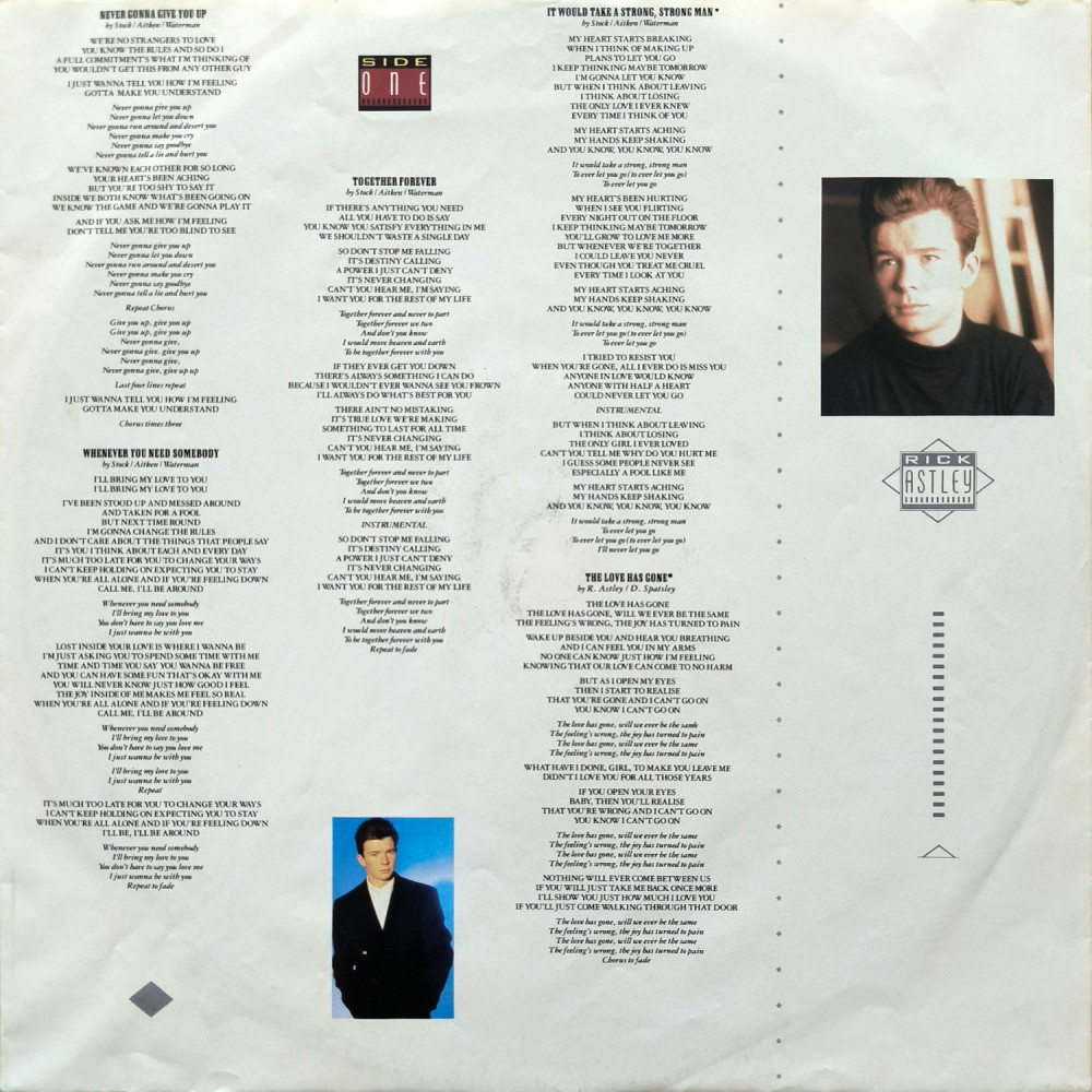 Rick Astley – Whenever You Need Somebody (LP)