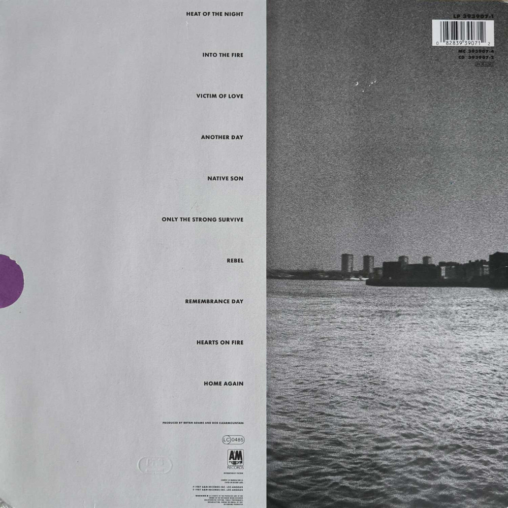 Bryan Adams – Into The Fire (LP)