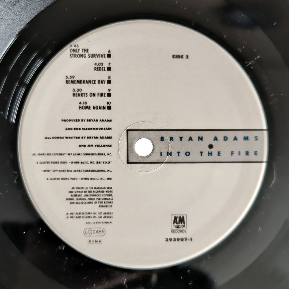 Bryan Adams – Into The Fire (LP)