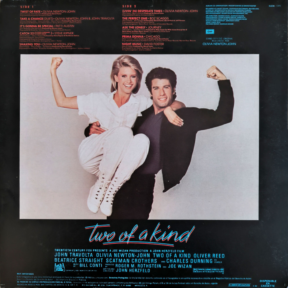 Various – Two Of A Kind - Music From The Original Motion Picture Soundtrack (LP)