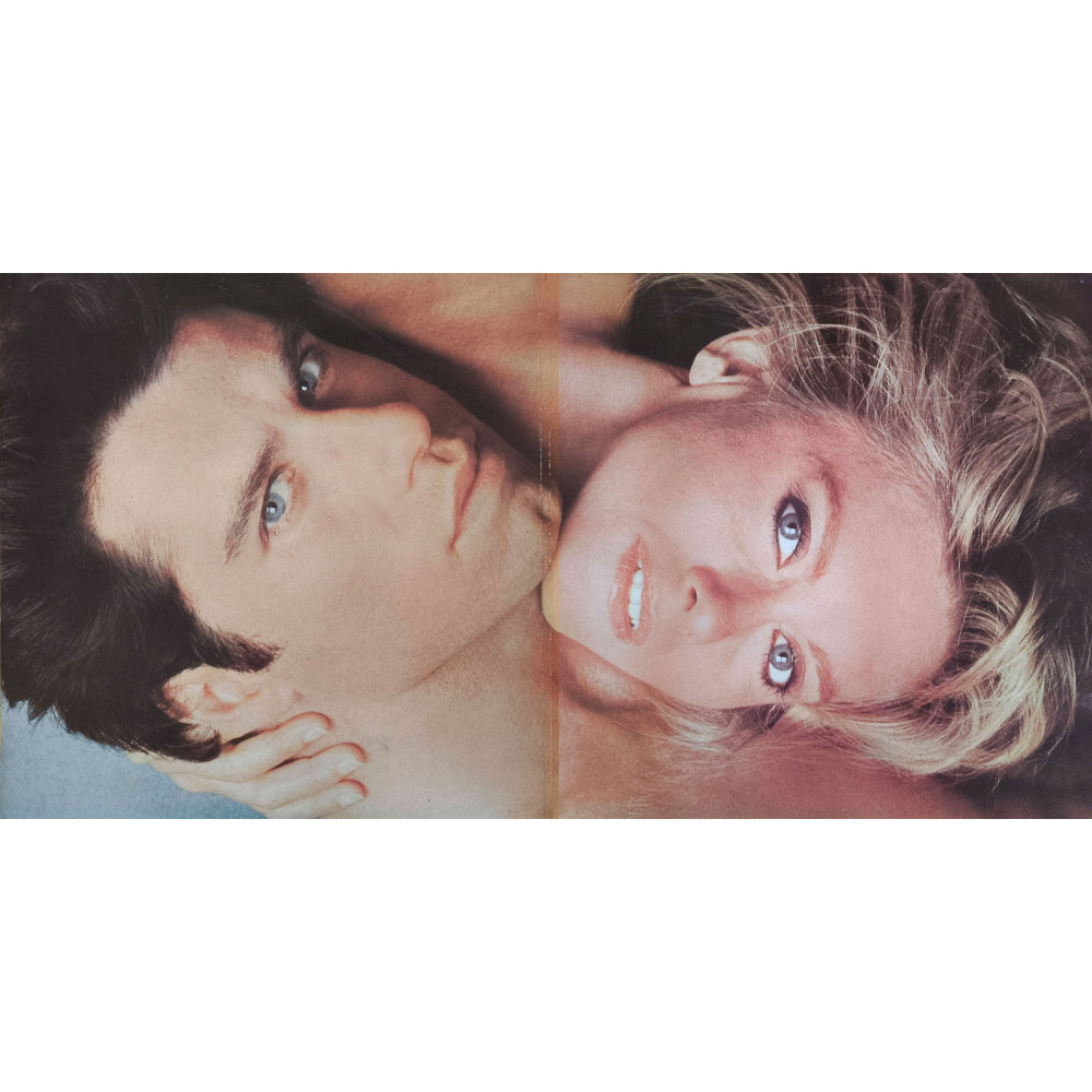 Various – Two Of A Kind - Music From The Original Motion Picture Soundtrack (LP)