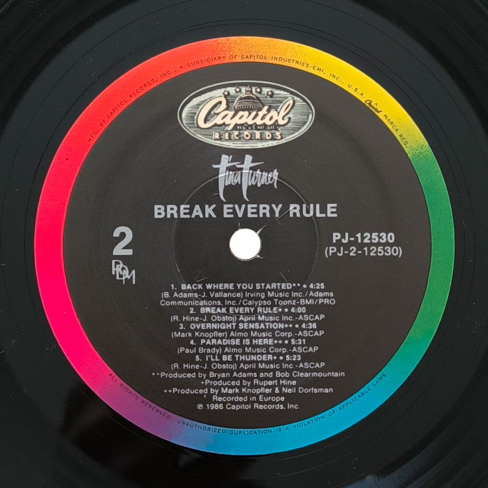 Tina Turner – Break Every Rule (LP)