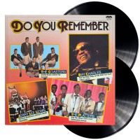Ray Charles / The Coasters / The Platters / Jerry Lee Lewis – Do You Remember (2 LP)