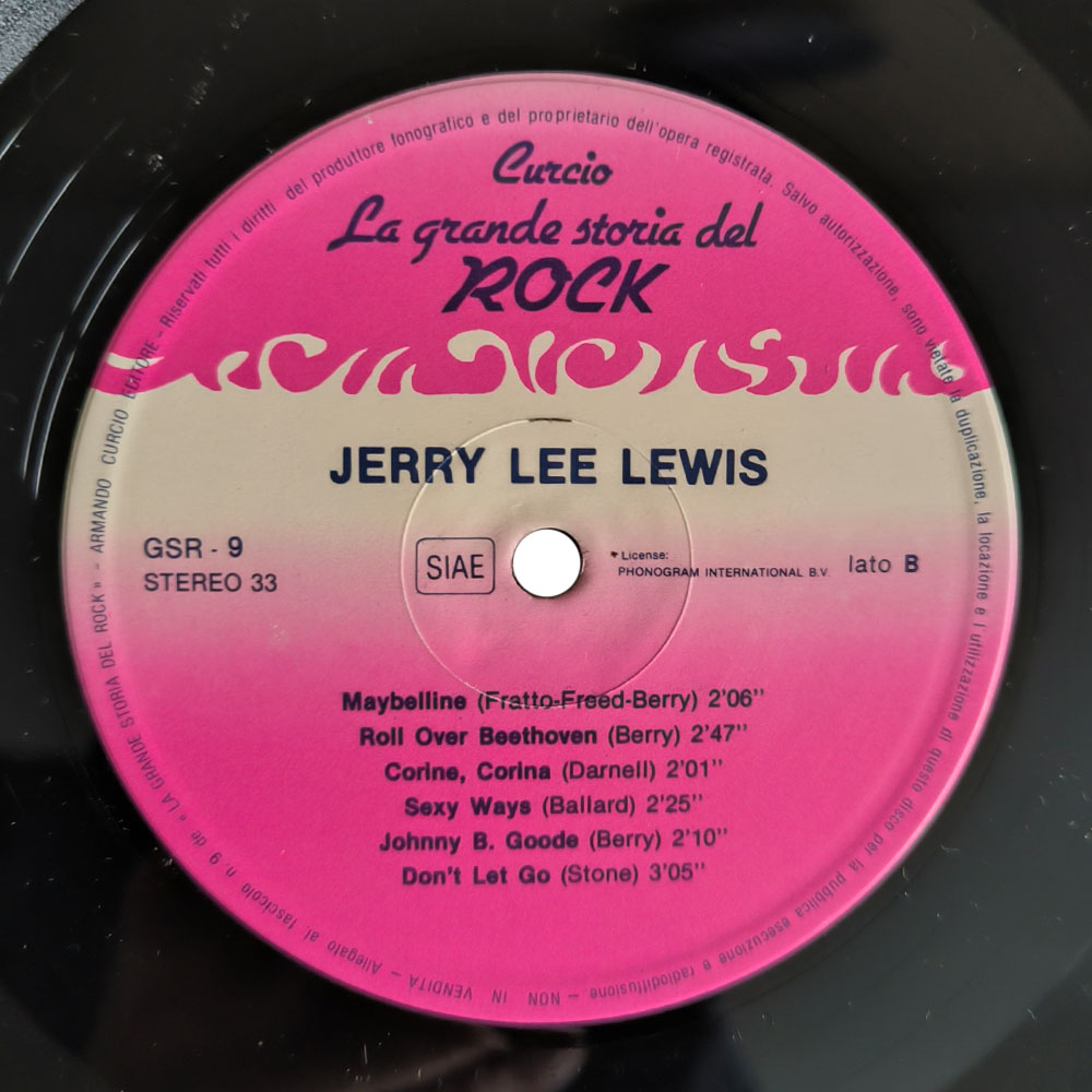 Ray Charles / The Coasters / The Platters / Jerry Lee Lewis – Do You Remember (2 LP)
