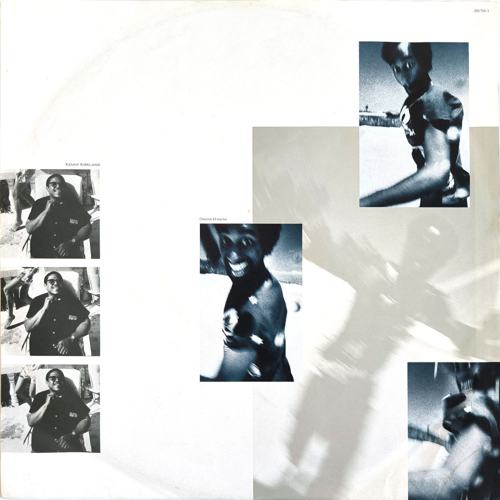 Sting – The Dream Of The Blue Turtles (LP)