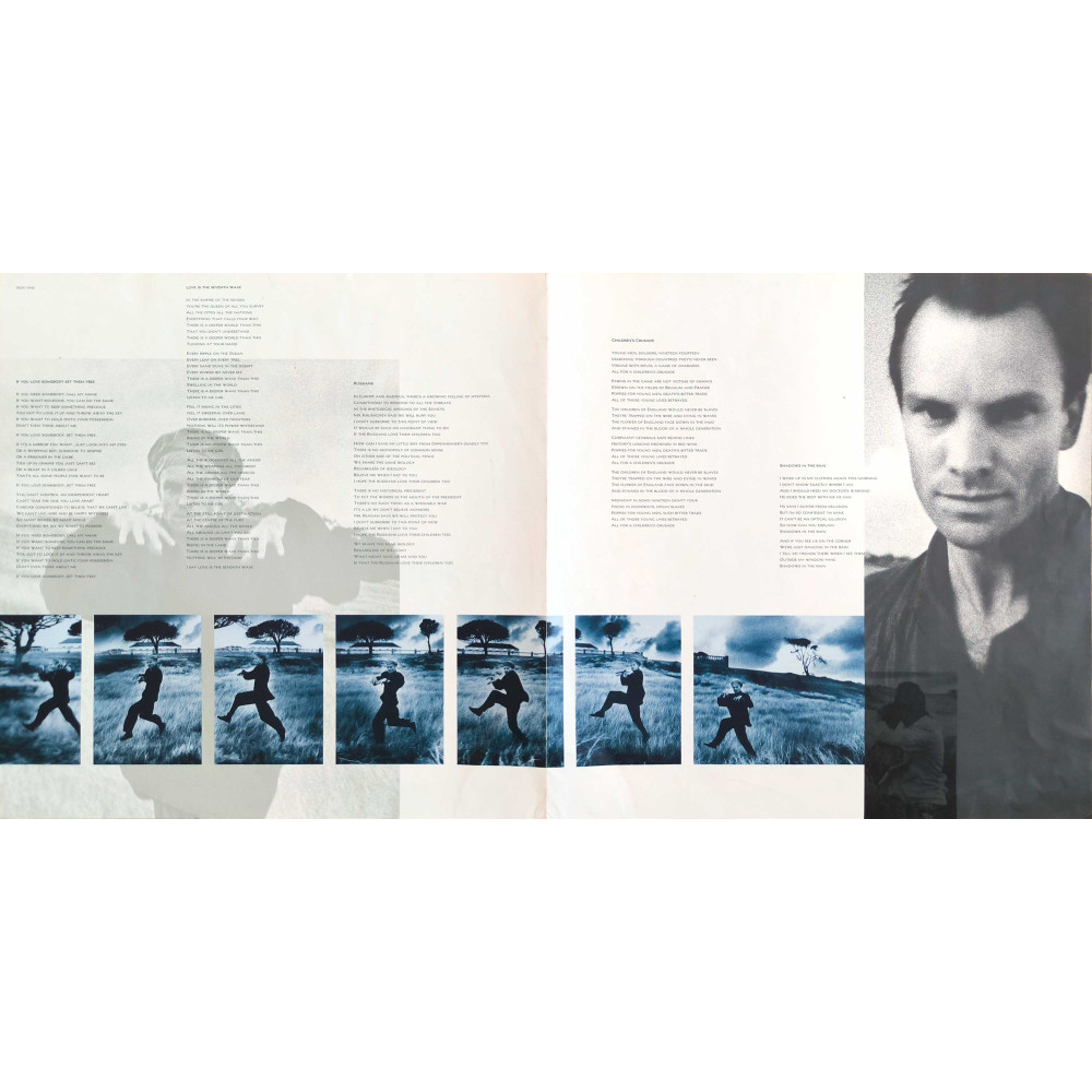 Sting – The Dream Of The Blue Turtles (LP)
