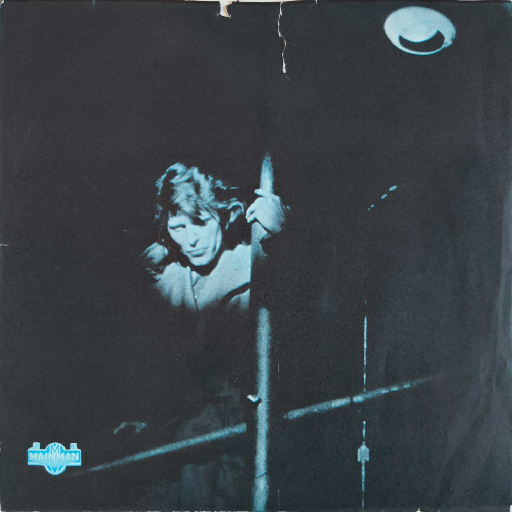 David Bowie - David Live (2 LP)