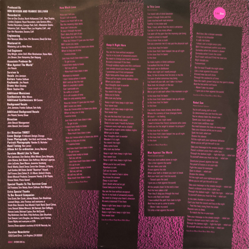 Survivor - When Seconds Count (LP)