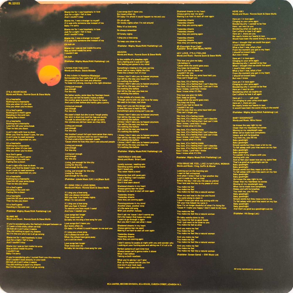 Bonnie Tyler - Natural Force (L P)