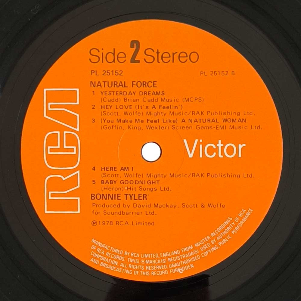Bonnie Tyler - Natural Force (L P)