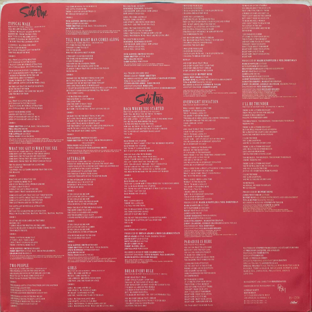 Tina Turner - Break Every Rule (LP)