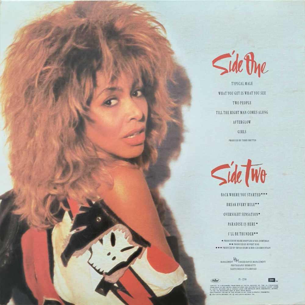 Tina Turner - Break Every Rule (LP)