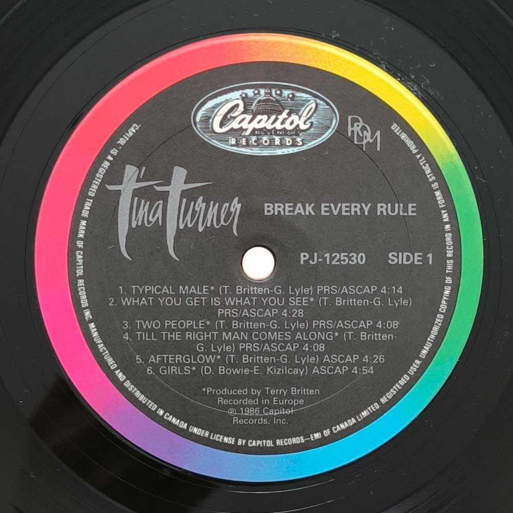 Tina Turner - Break Every Rule (LP)