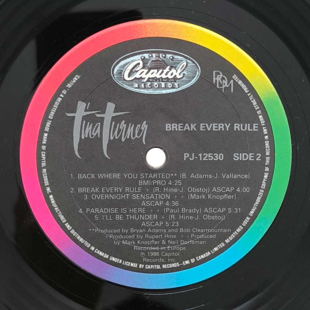 Tina Turner - Break Every Rule (LP)