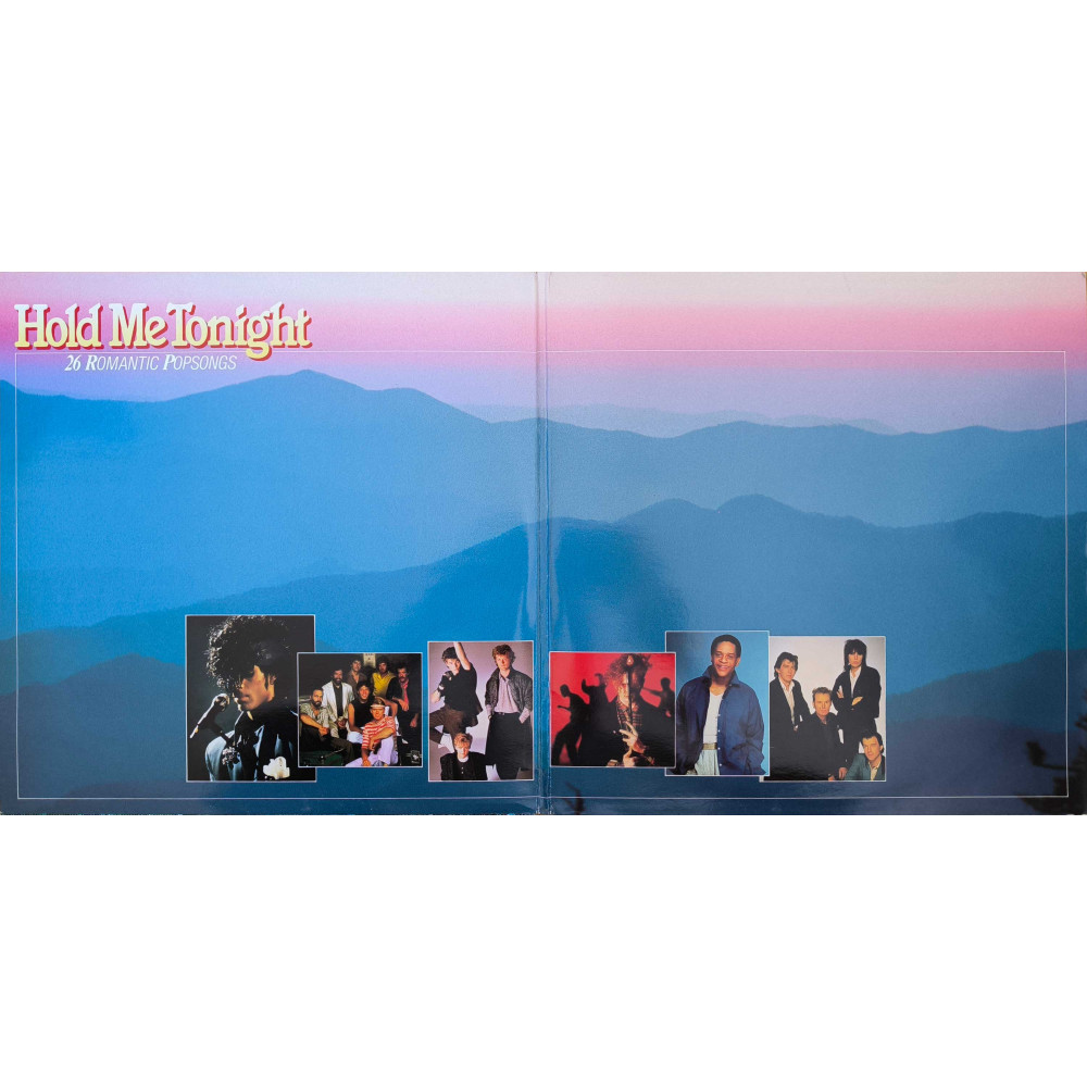 Various - Hold Me Tonight - 26 Romantic Popsongs (2 LP)