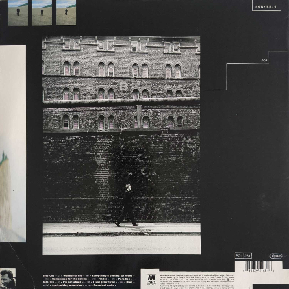 Black - Wonderful Life (LP)