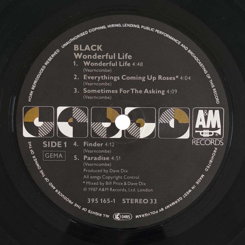 Black - Wonderful Life (LP)