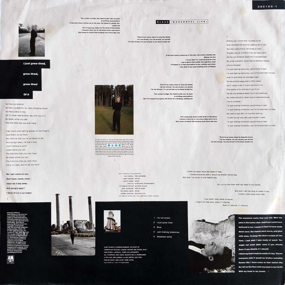 Black - Wonderful Life (LP)