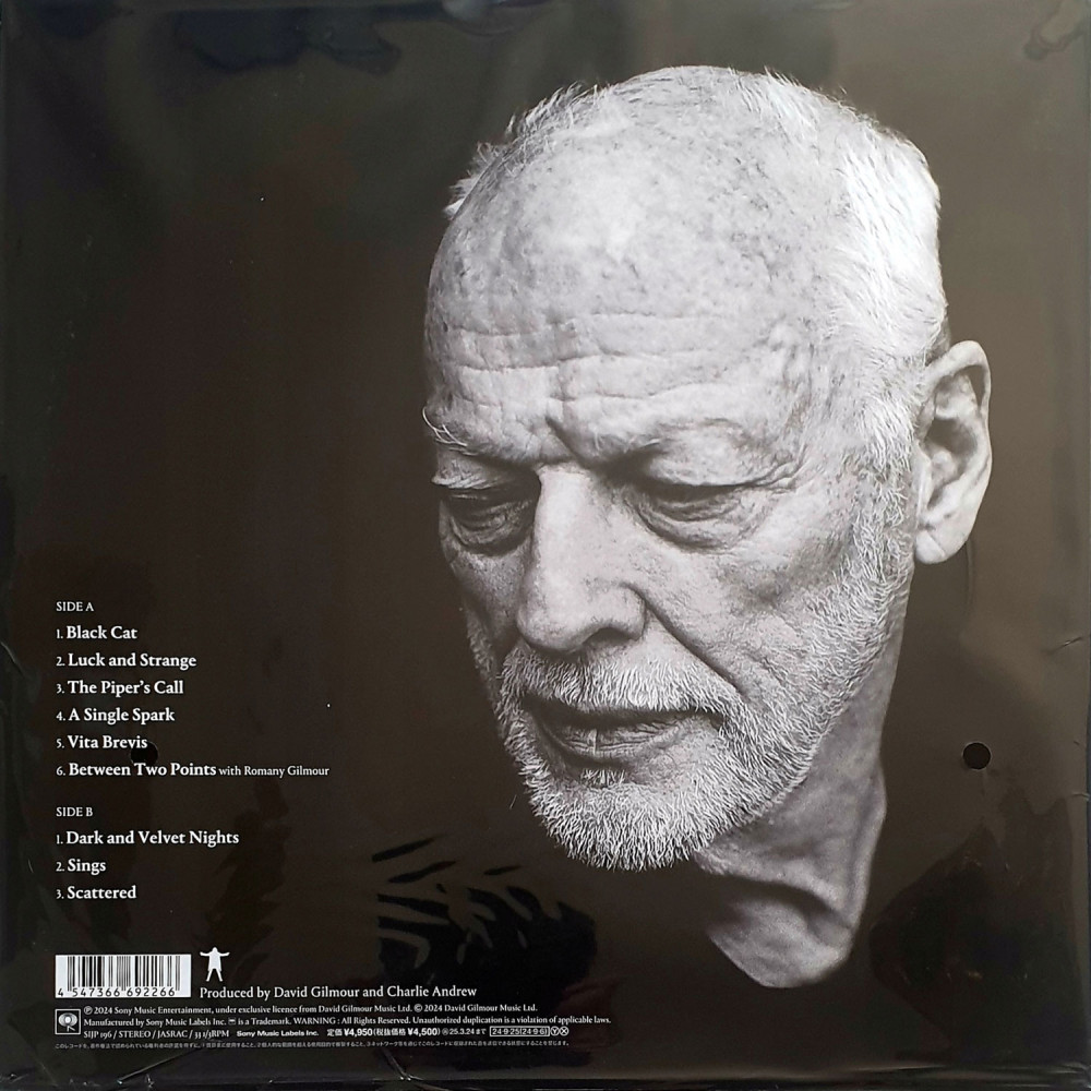 David Gilmour – Luck And Strange (LP)