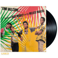 Ziggy Marley And The Melody Makers - Time Has Come... - The Best Of Ziggy Marley And The Melody Makers (LP)