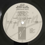 Ziggy Marley And The Melody Makers - Conscious Party (LP)
