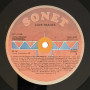 Various – Love Tracks (LP)