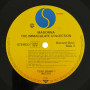 Madonna ‎– The Immaculate Collection (2LP)