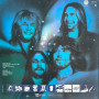 Status Quo - Never Too Late (LP)