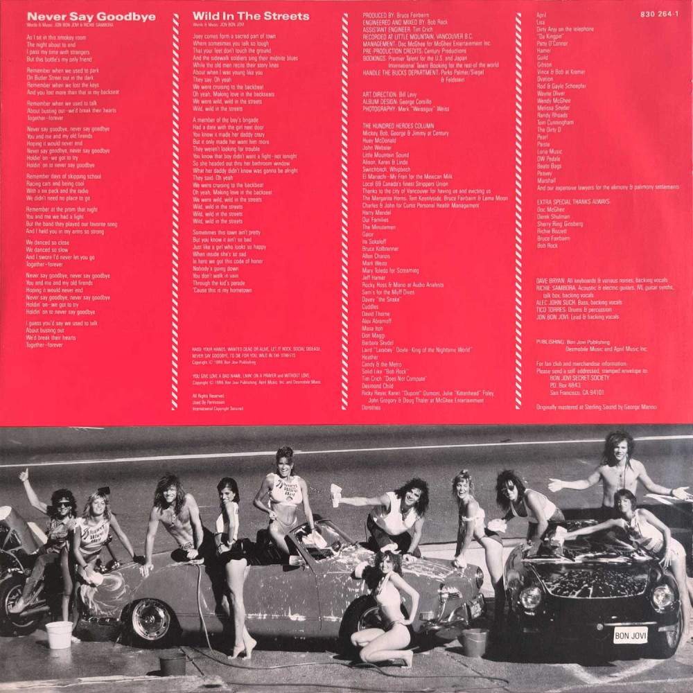 Bon Jovi - Slippery When Wet (LP)