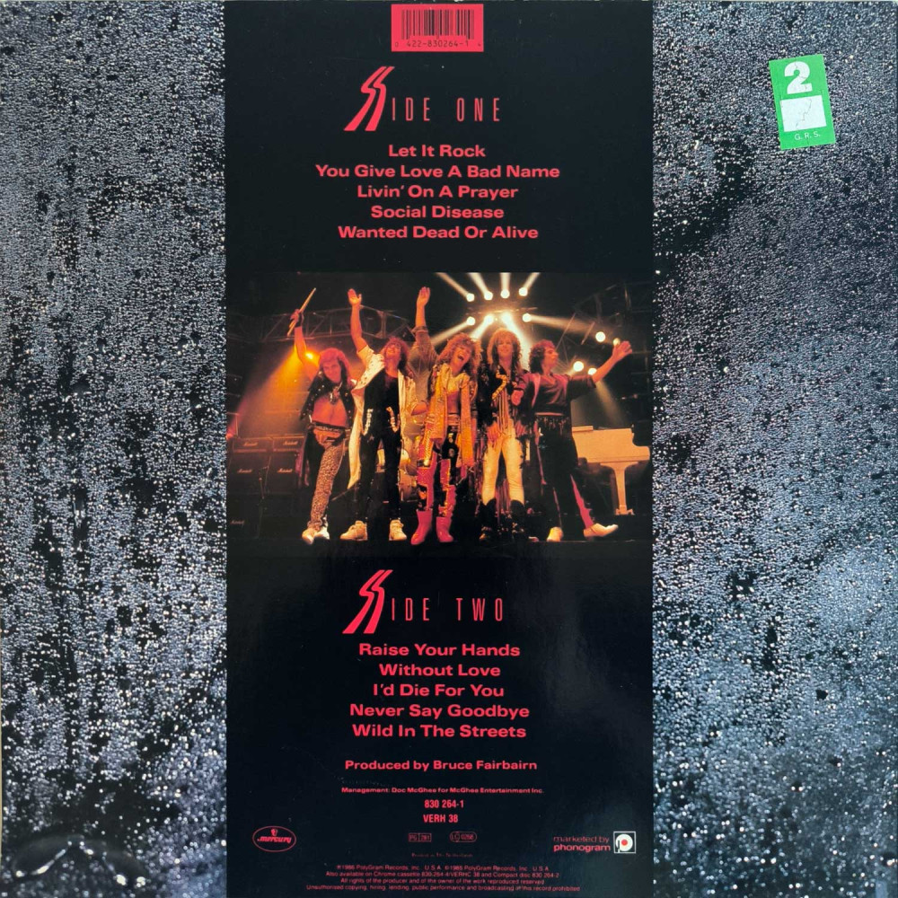 Bon Jovi - Slippery When Wet (LP)