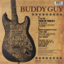 Buddy Guy - Living Proof (2 LP)