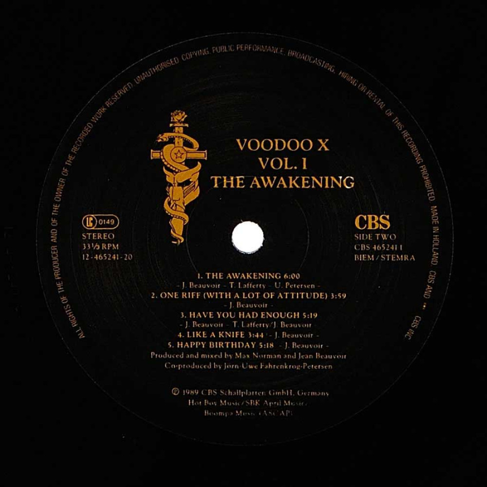 Voodoo X - Vol.1 The Awakening (LP)