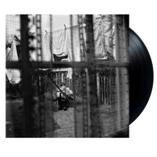 Paul McCartney - Chaos And Creation In The Backyard (LP)
