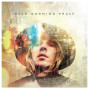 Beck, Morning Phase