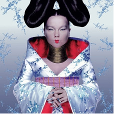 Bjork, Homogenic