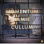 Jamie Cullum - Momentum (CD) Jamie Cullum - Momentum (CD)