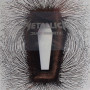 Metallica, Death Magnetic (CD)