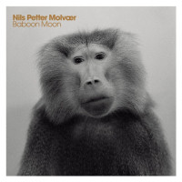 Nils Molvaer Petter - Baboon Moon (CD)