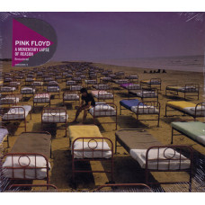 Pink Floyd, A Momentary Lapse Of Reason (1987)