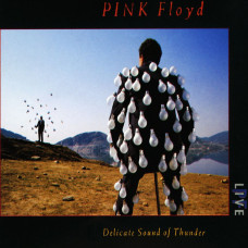 Pink Floyd, Delicate Sound Of Thunder (2 CD)