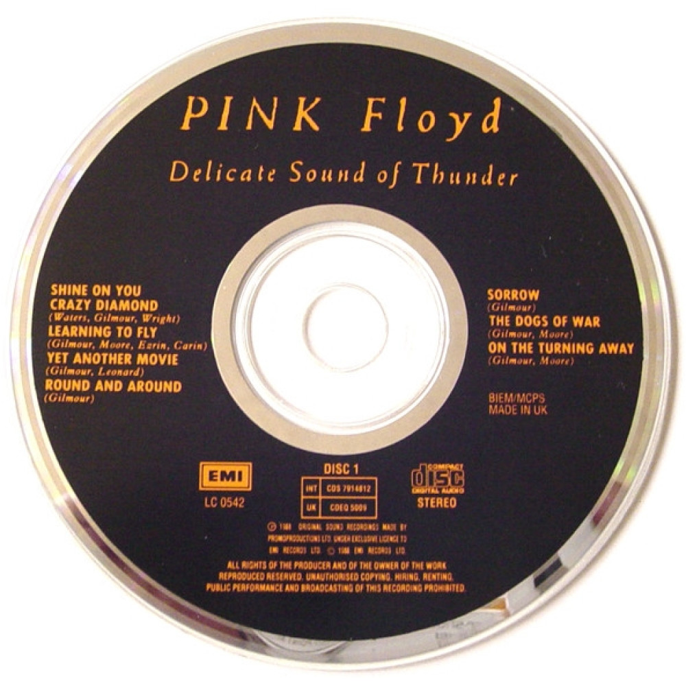 Pink Floyd, Delicate Sound Of Thunder (2 CD)