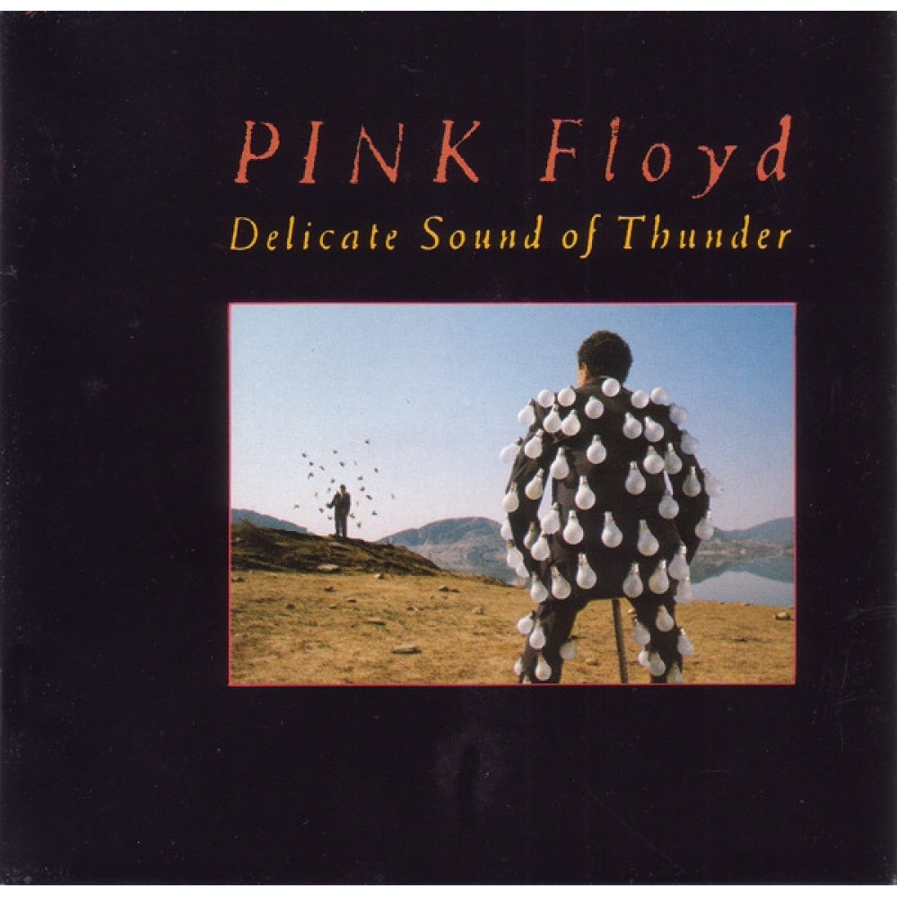 Pink Floyd, Delicate Sound Of Thunder (2 CD)