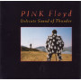 Pink Floyd, Delicate Sound Of Thunder (2 CD)