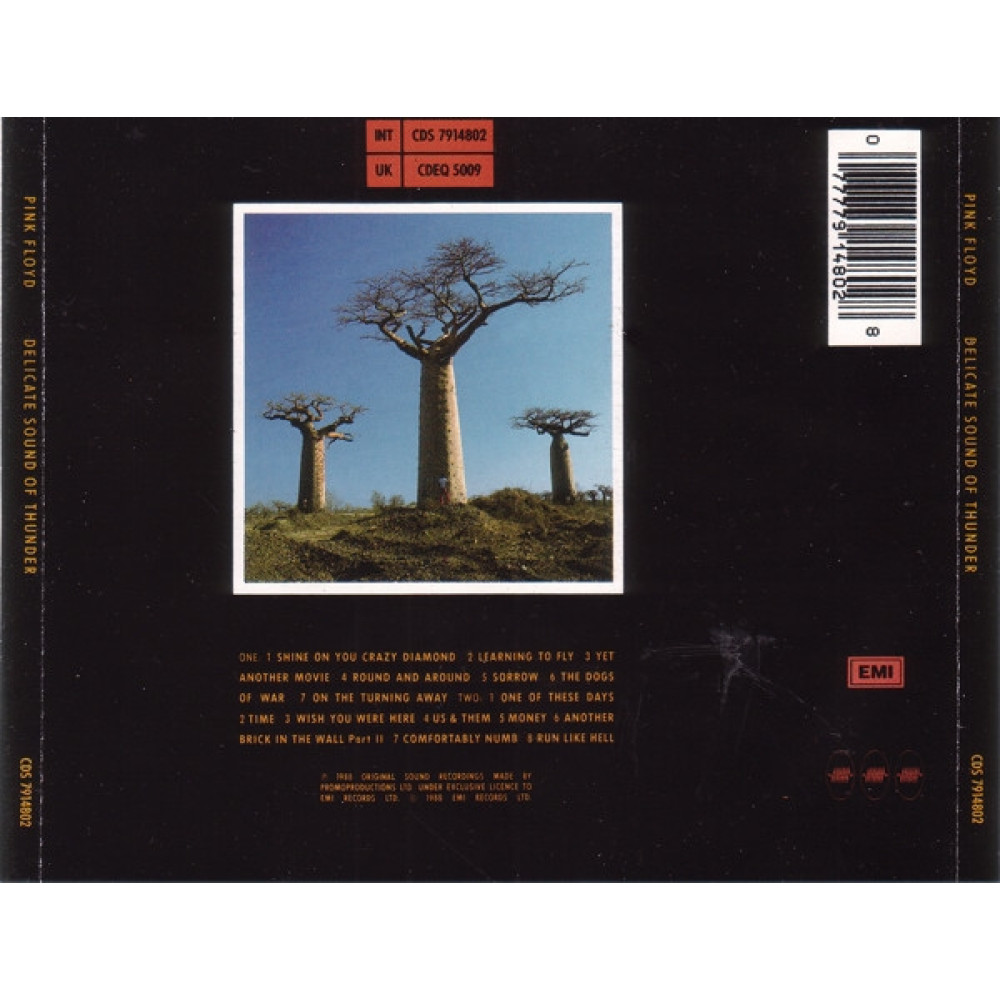 Pink Floyd, Delicate Sound Of Thunder (2 CD)