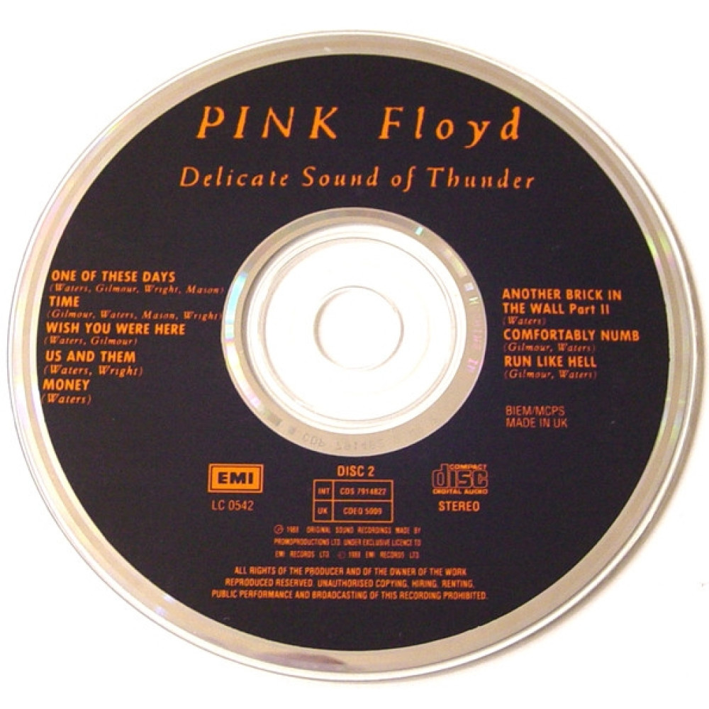 Pink Floyd, Delicate Sound Of Thunder (2 CD)