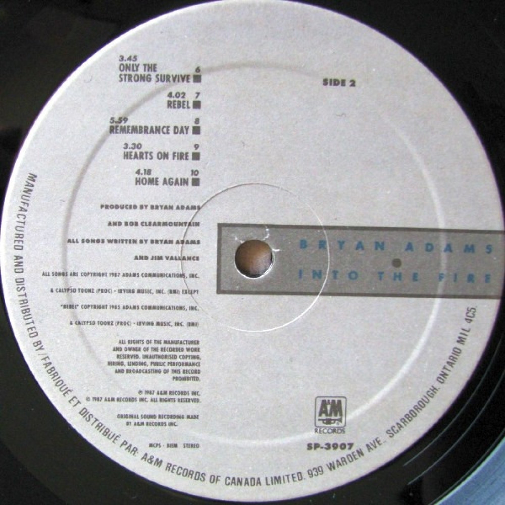 Bryan Adams - Into The Fire (LP)