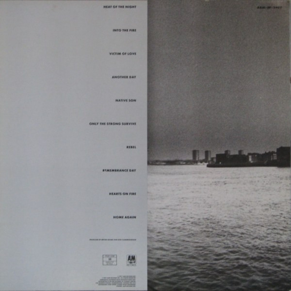 Bryan Adams - Into The Fire (LP)